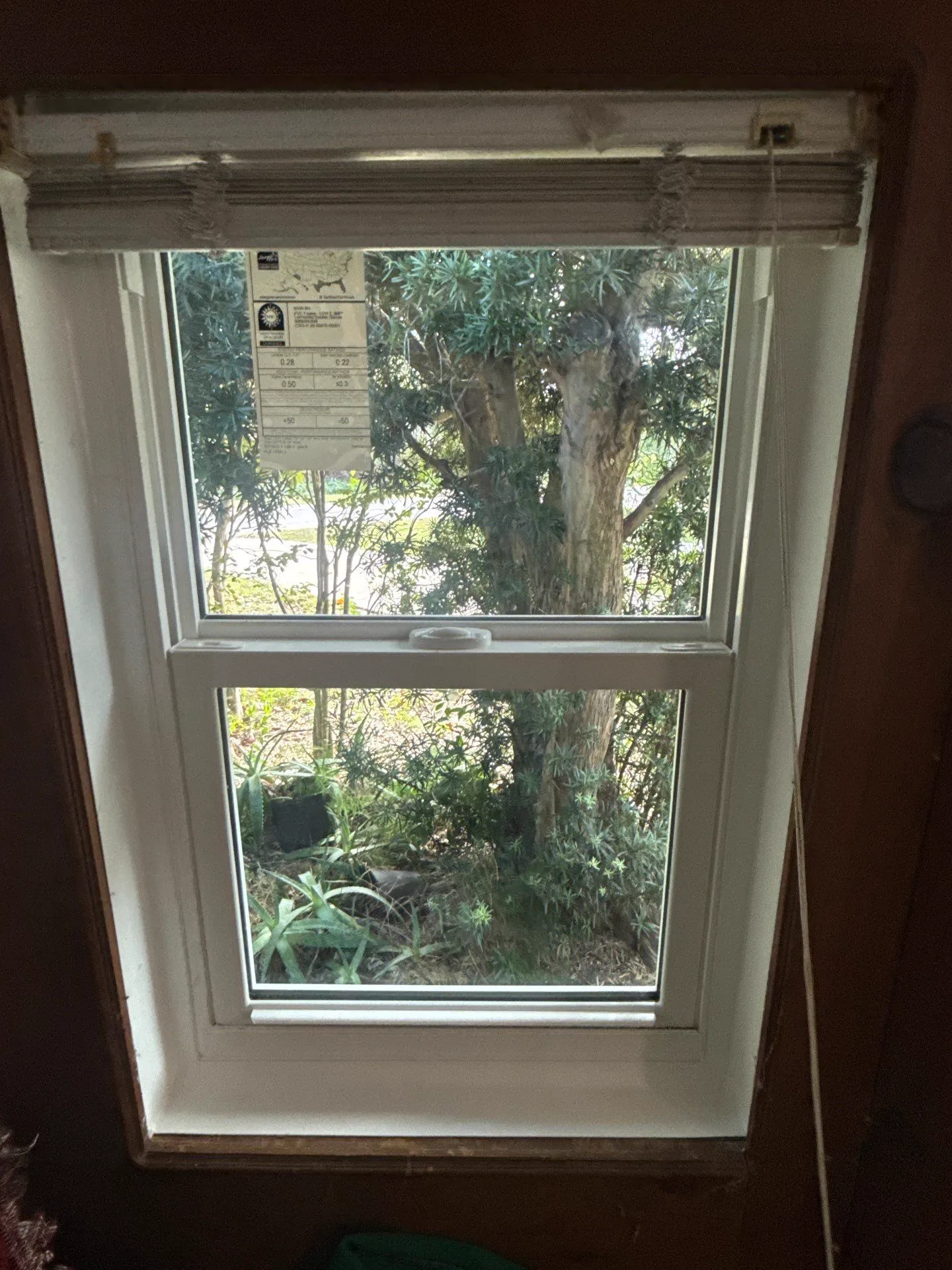 Interior view of a new white single-hung window set in a dark wood-trimmed wall, with the product label still on the upper glass, a raised blind at the top, and trees and plants visible outside.