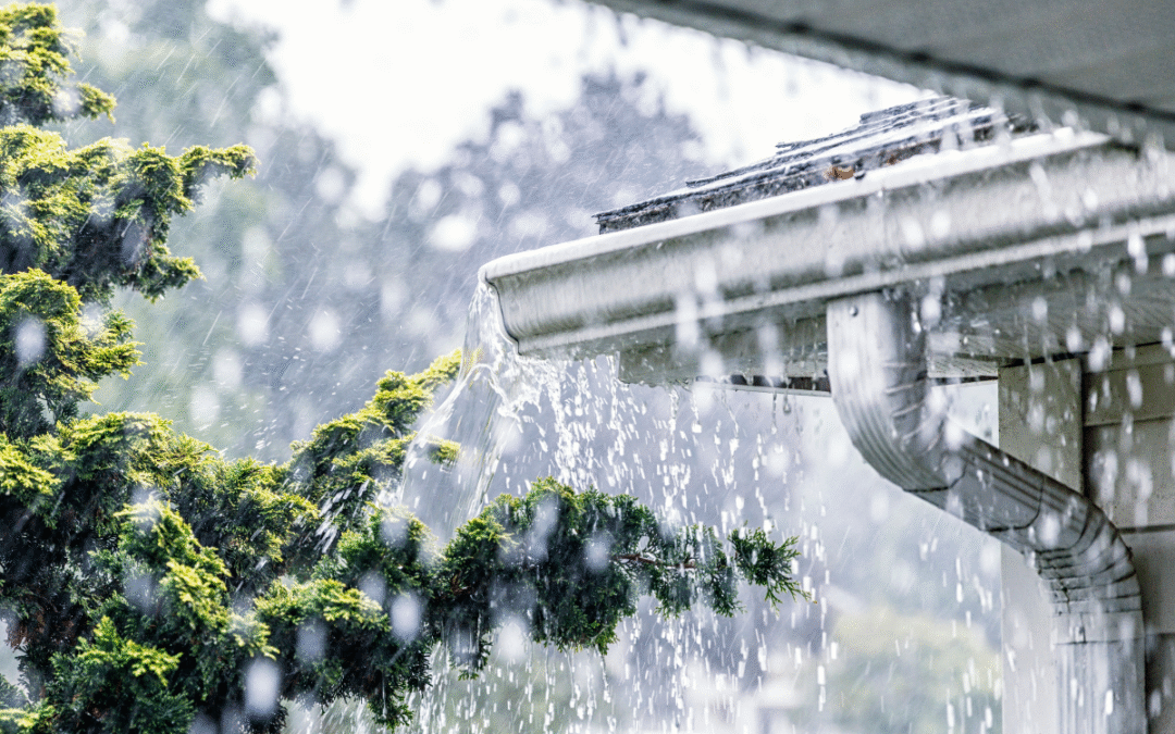 Discover the Benefits of Impact Windows and Doors in Dade City, FL