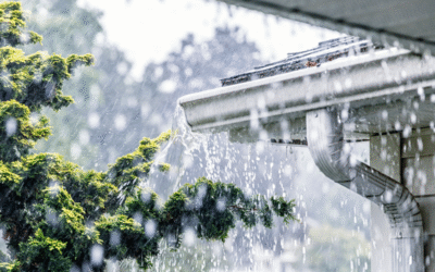 Discover the Benefits of Impact Windows and Doors in Dade City, FL