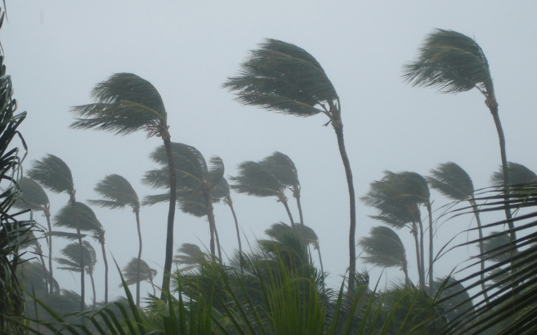 How Impact Doors Change The Way Florida Homes Handle Storms