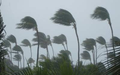 How Impact Doors Change The Way Florida Homes Handle Storms